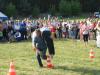 img_3277_t1.jpg